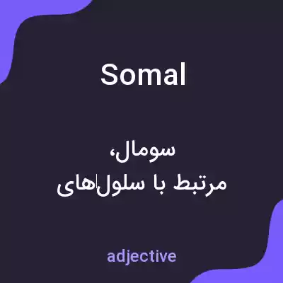 معنی somal به فارسی معنی somal به فارسی