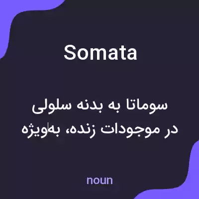 معنی somata به فارسی معنی somata به فارسی