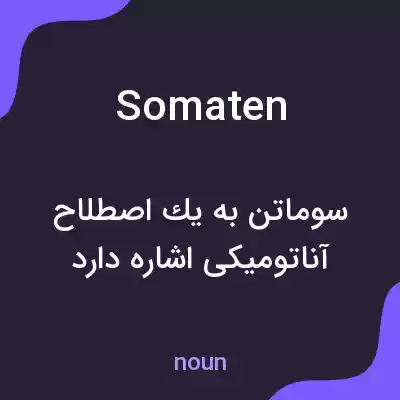 معنی somaten به فارسی معنی somaten به فارسی