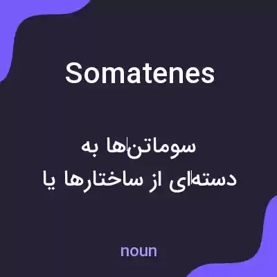 معنی somatenes به فارسی معنی somatenes به فارسی