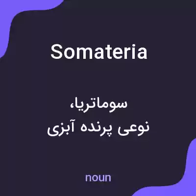 معنی somateria به فارسی معنی somateria به فارسی