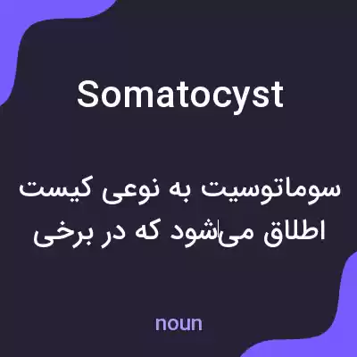 معنی somatocyst به فارسی معنی somatocyst به فارسی