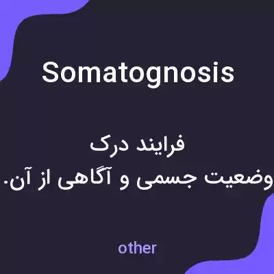 معنی somatognosis به فارسی معنی somatognosis به فارسی