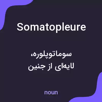 معنی somatopleure به فارسی معنی somatopleure به فارسی