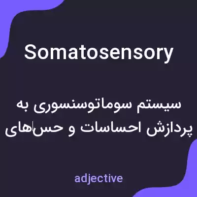 معنی somatosensory به فارسی معنی somatosensory به فارسی