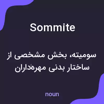 معنی sommite به فارسی معنی sommite به فارسی