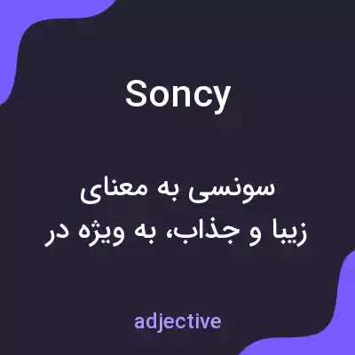 معنی soncy به فارسی معنی soncy به فارسی