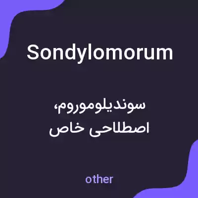 معنی sondylomorum به فارسی معنی sondylomorum به فارسی