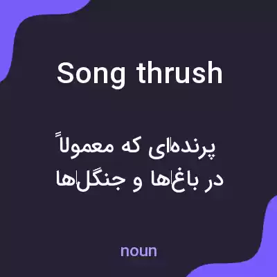 معنی song thrush به فارسی معنی song thrush به فارسی
