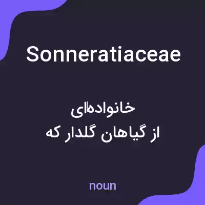 معنی sonneratiaceae به فارسی