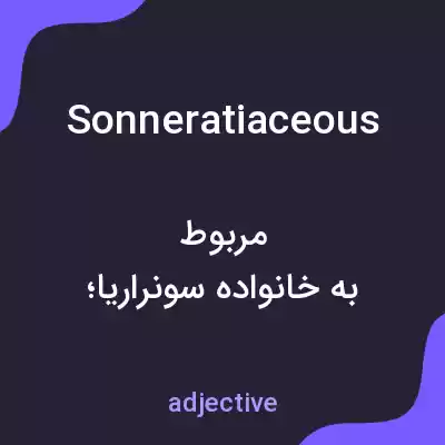 معنی sonneratiaceous به فارسی معنی sonneratiaceous به فارسی
