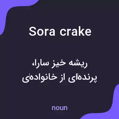 معنی sora crake به فارسی معنی sora crake به فارسی