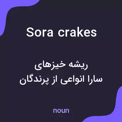 معنی sora crakes به فارسی معنی sora crakes به فارسی