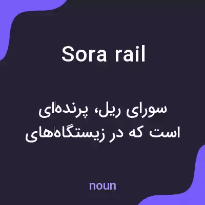 معنی sora rail به فارسی معنی sora rail به فارسی
