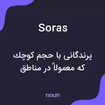 معنی soras به فارسی معنی soras به فارسی