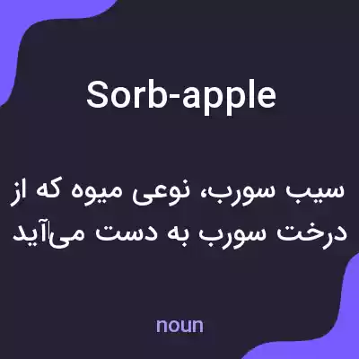 معنی sorb-apple به فارسی معنی sorb-apple به فارسی