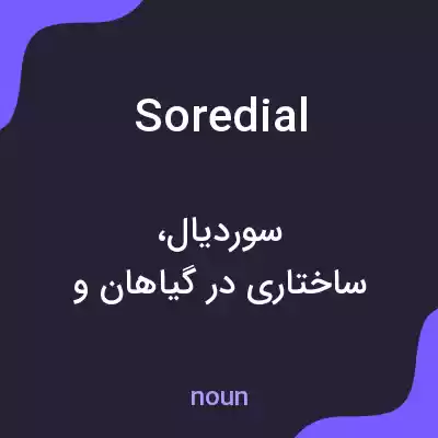 معنی soredial به فارسی معنی soredial به فارسی