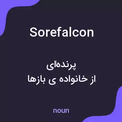 معنی sorefalcon به فارسی معنی sorefalcon به فارسی