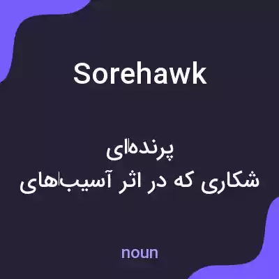 معنی sorehawk به فارسی معنی sorehawk به فارسی