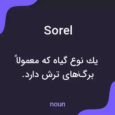 معنی sorel به فارسی