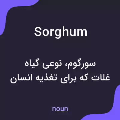 معنی sorghum به فارسی معنی sorghum به فارسی