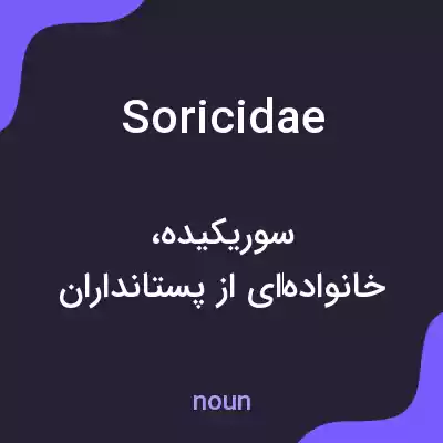 معنی soricidae به فارسی معنی soricidae به فارسی