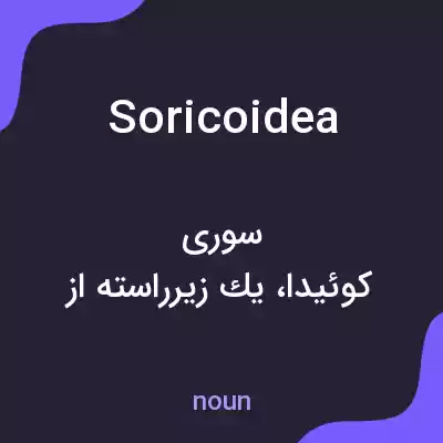 معنی soricoidea به فارسی