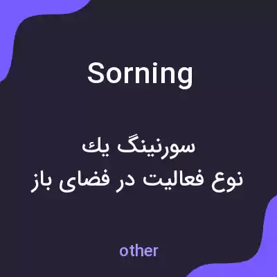 معنی sorning به فارسی معنی sorning به فارسی