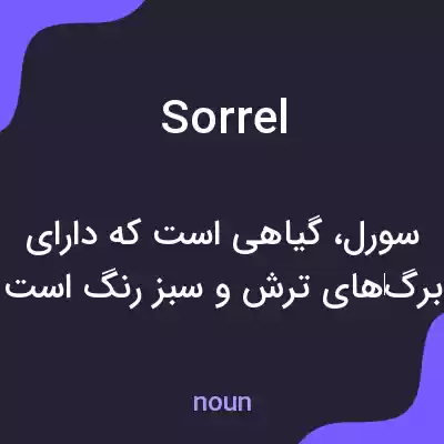 معنی sorrel به فارسی معنی sorrel به فارسی