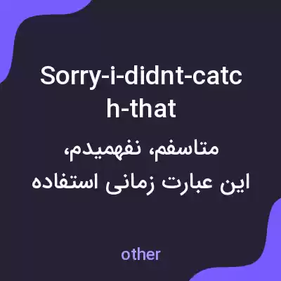 معنی sorry-i-didnt-catch-that به فارسی
