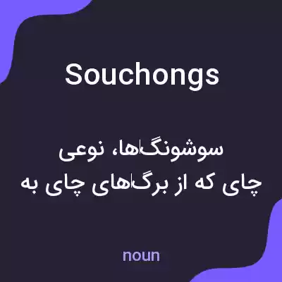 معنی souchongs به فارسی معنی souchongs به فارسی