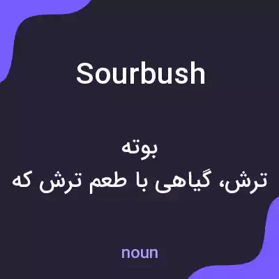معنی sourbush به فارسی معنی sourbush به فارسی