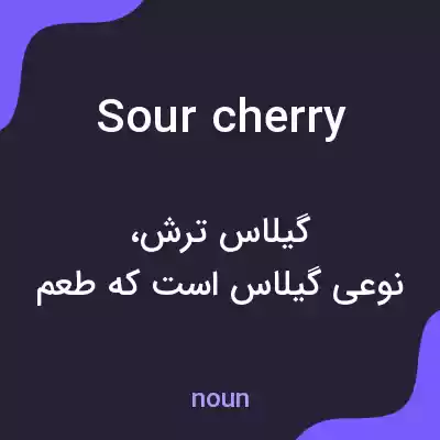 معنی sour cherry به فارسی معنی sour cherry به فارسی