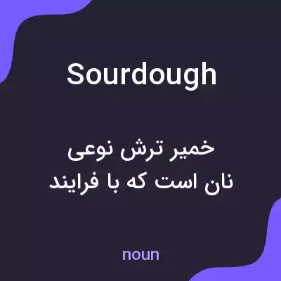 معنی sourdough به فارسی معنی sourdough به فارسی