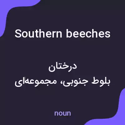 معنی southern beeches به فارسی معنی southern beeches به فارسی