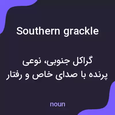 معنی southern grackle به فارسی