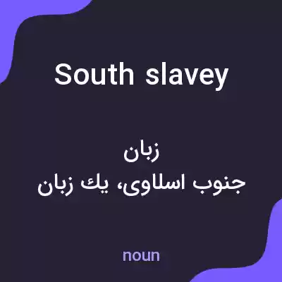 معنی south slavey به فارسی