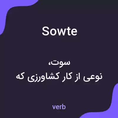 معنی sowte به فارسی معنی sowte به فارسی