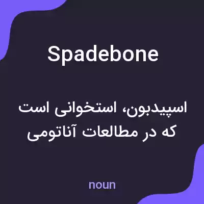 معنی spadebone به فارسی معنی spadebone به فارسی