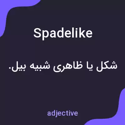 معنی spadelike به فارسی معنی spadelike به فارسی