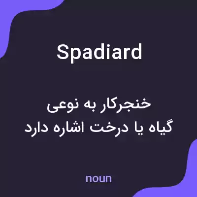 معنی spadiard به فارسی معنی spadiard به فارسی