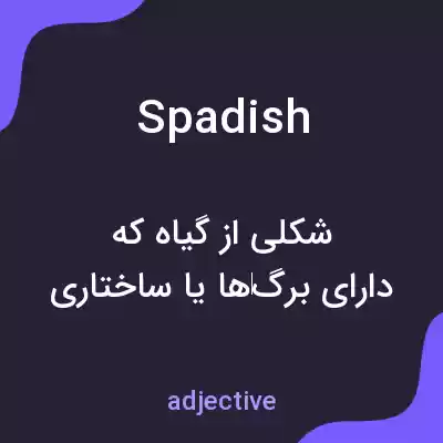 معنی spadish به فارسی معنی spadish به فارسی