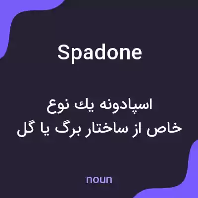 معنی spadone به فارسی معنی spadone به فارسی