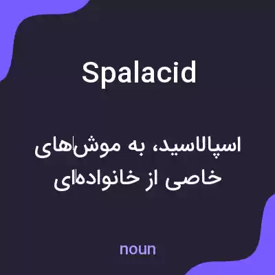 معنی spalacid به فارسی معنی spalacid به فارسی