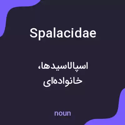 معنی spalacidae به فارسی معنی spalacidae به فارسی