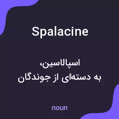 معنی spalacine به فارسی