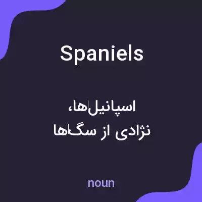 معنی spaniels به فارسی معنی spaniels به فارسی