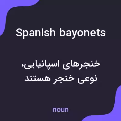 معنی spanish bayonets به فارسی