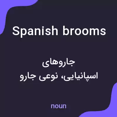 معنی spanish brooms به فارسی معنی spanish brooms به فارسی