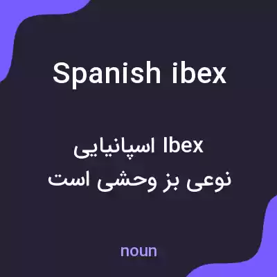معنی spanish ibex به فارسی معنی spanish ibex به فارسی